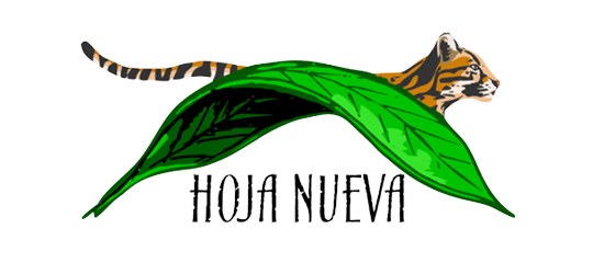 Logo Hoja Nueva